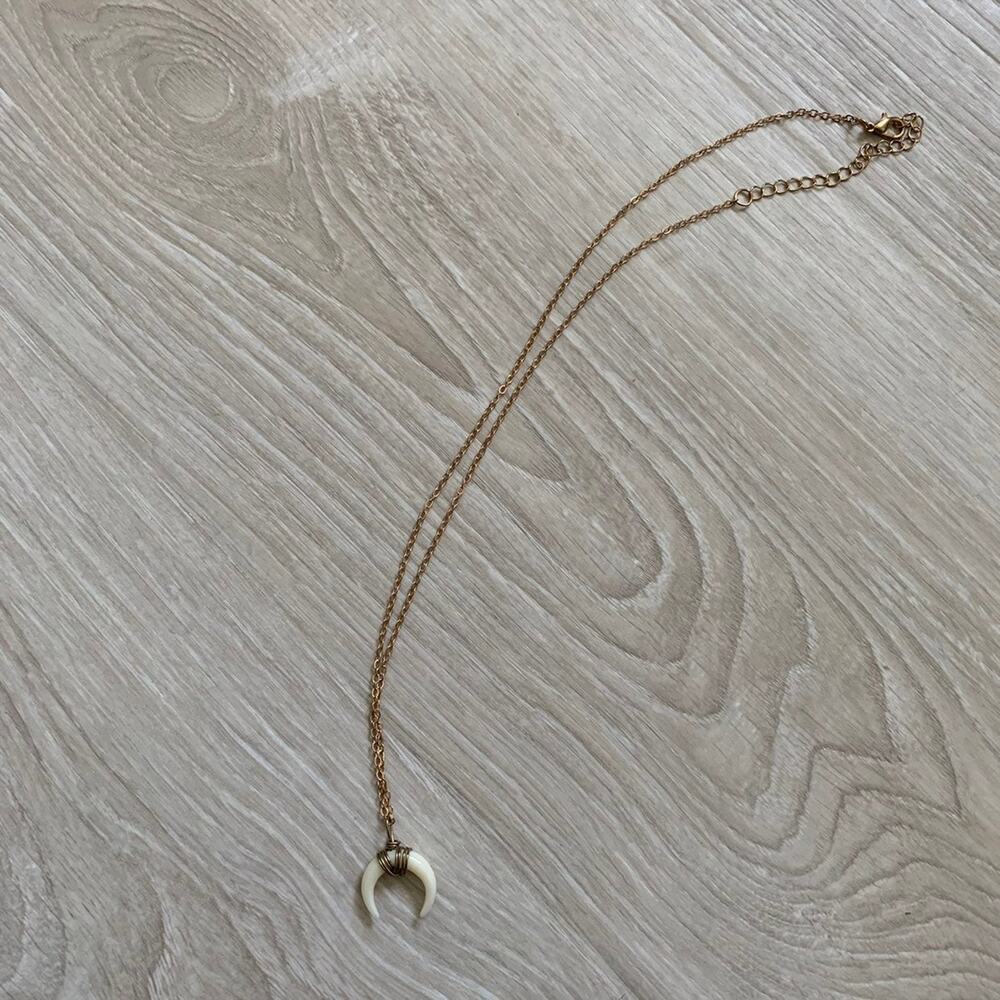 Forever21 horn pendant necklace